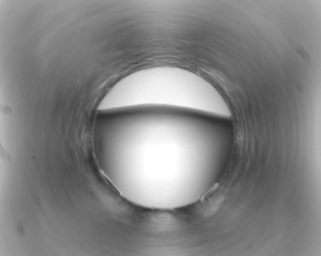 X0000091350572200708101039