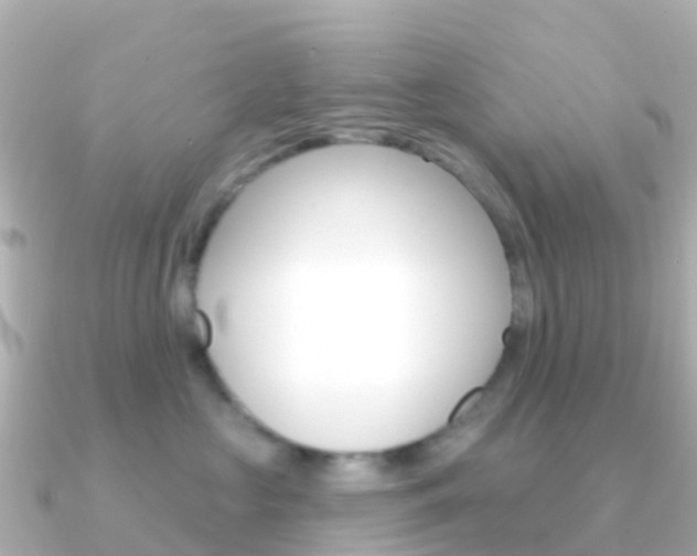 X0000091350573200708101039