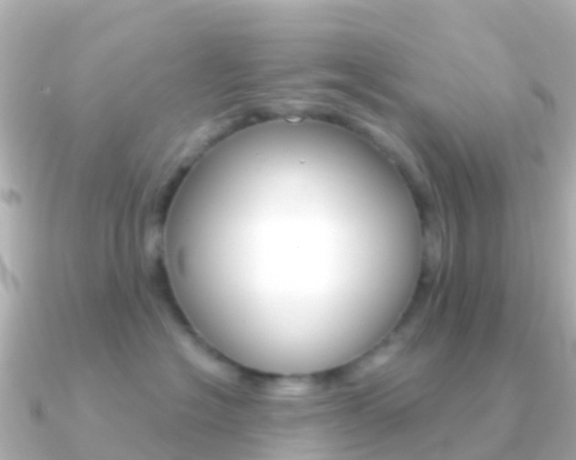 X0000091350574200708101039