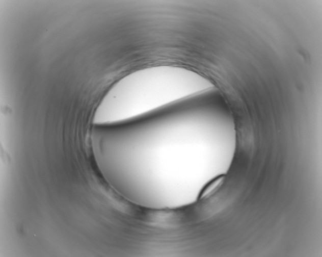 X0000091350575200708101039