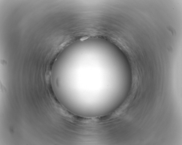 X0000091350576200708101039