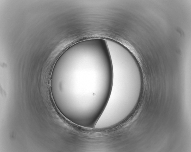 X0000091350577200708101038
