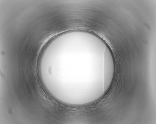 X0000091350579200708101038