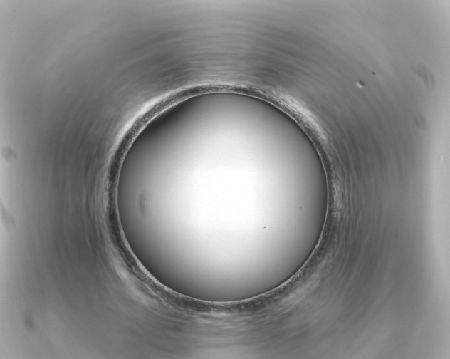 X0000091350580200708101038