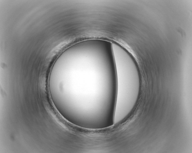 X0000091350581200708101038