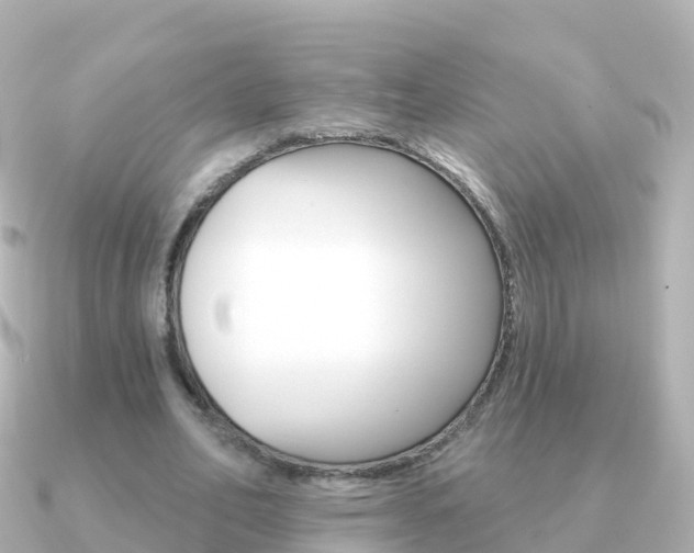 X0000091350582200708101038