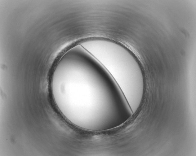 X0000091350584200708101038