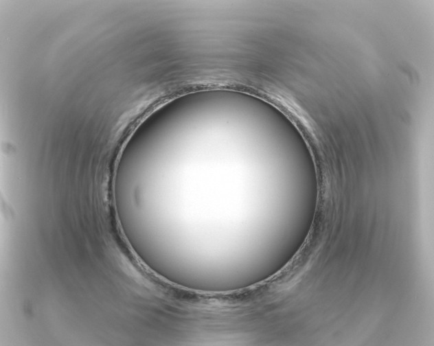 X0000091350585200708101038