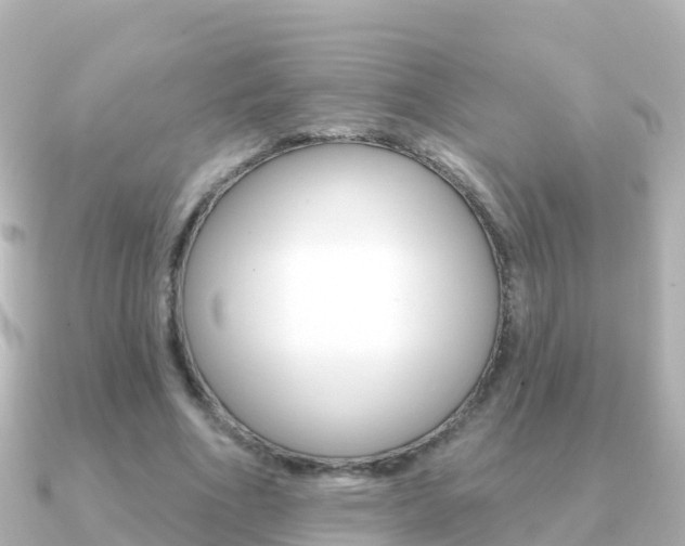 X0000091350586200708101038