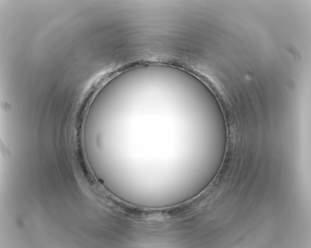 X0000091350587200708101038