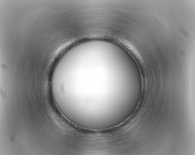 X0000091350588200708101038