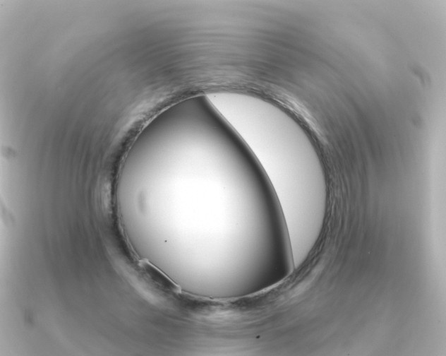 X0000091350589200708101038