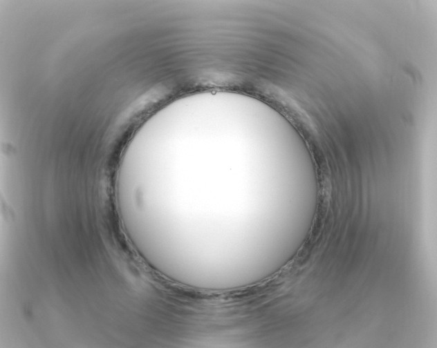 X0000091350591200708101038