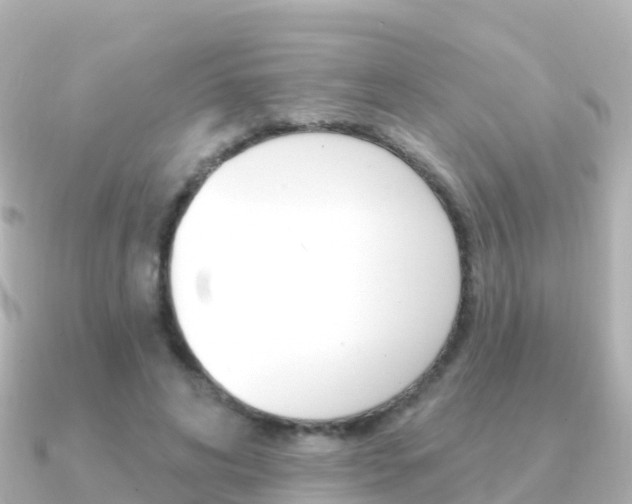 X0000091350592200708101038