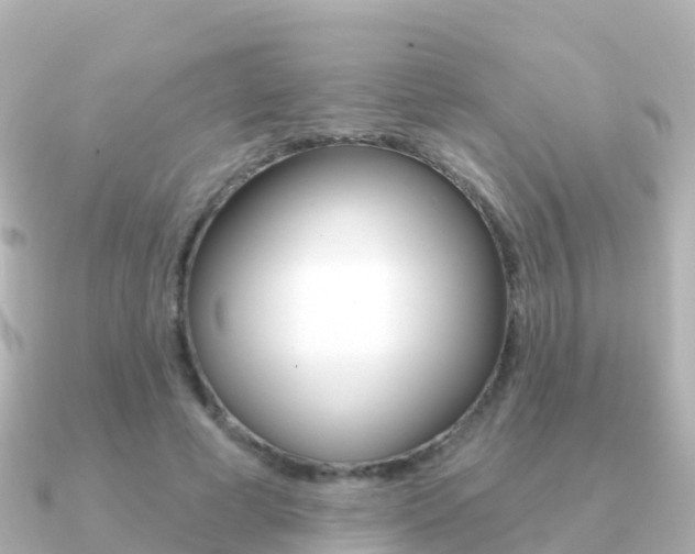 X0000091350593200708101038