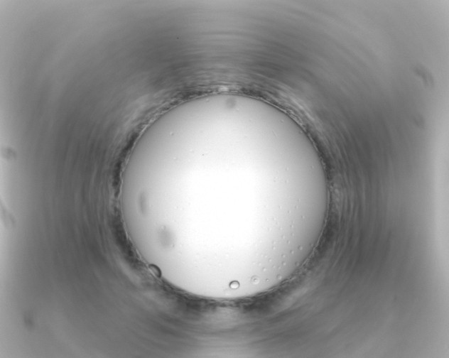 X0000091350594200708101038
