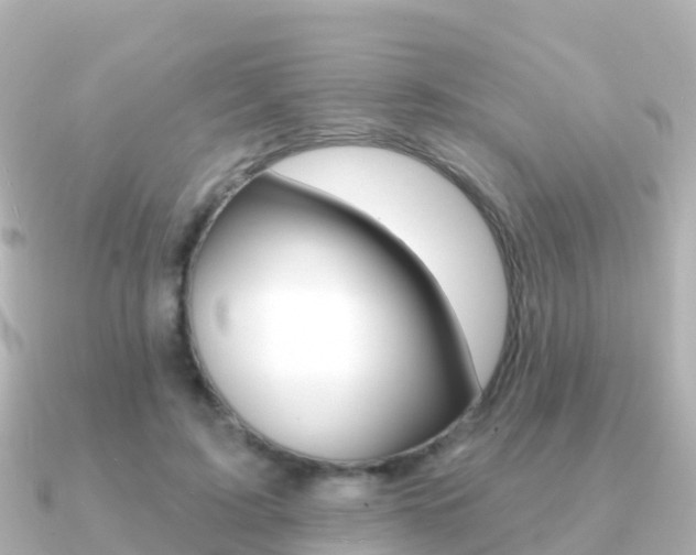 X0000091350595200708101038