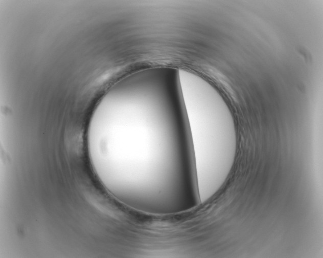 X0000091350596200708101038