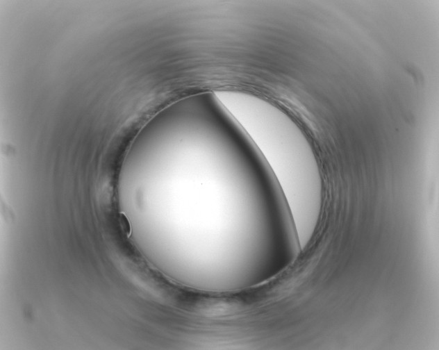 X0000091350597200708101038