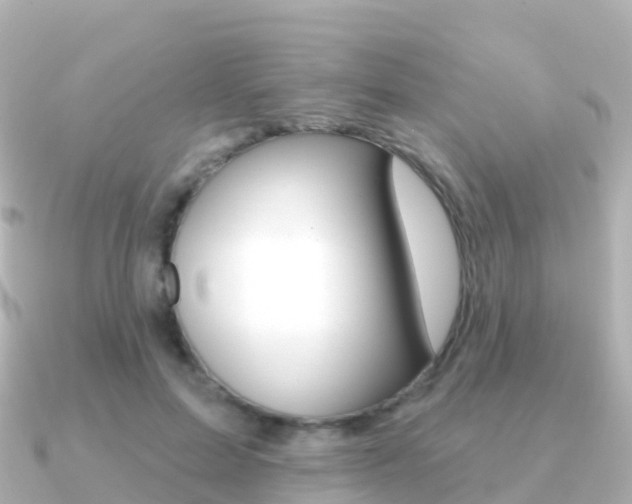 X0000091350599200708101038