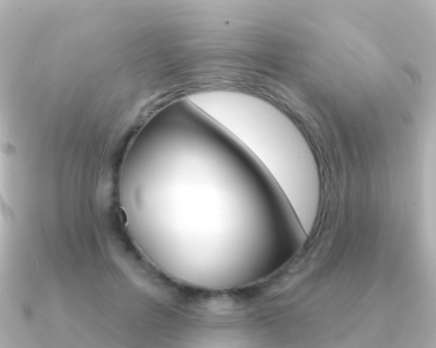 X0000091350600200708101038