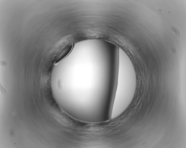 X0000091350601200708101038