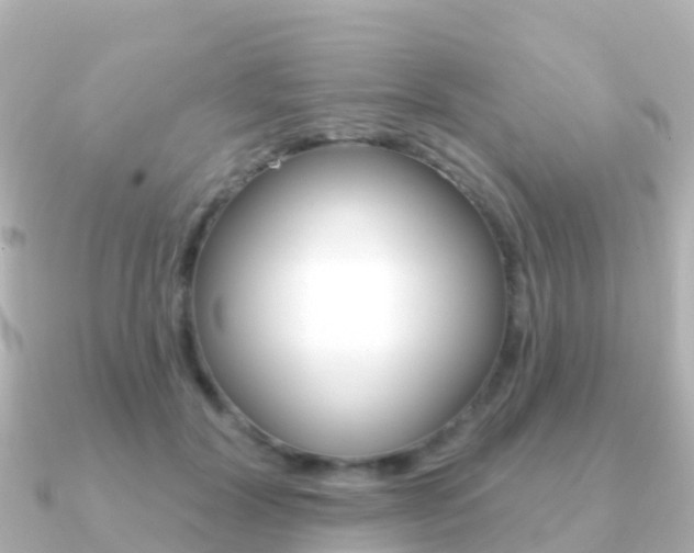 X0000091350604200708101038
