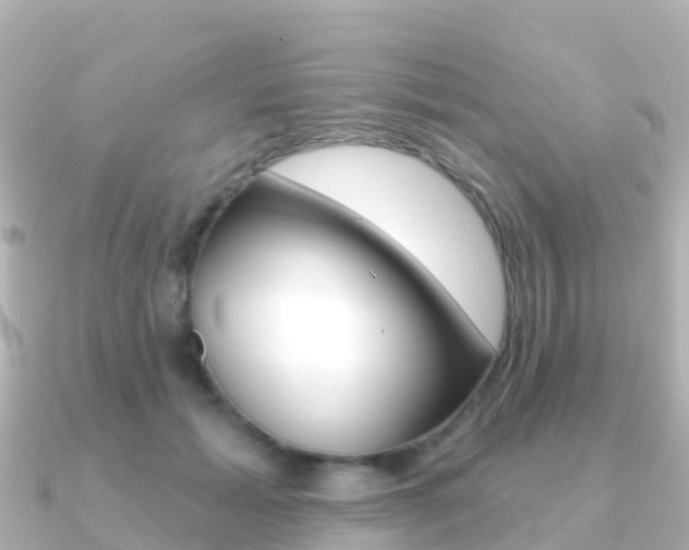 X0000091350605200708101038