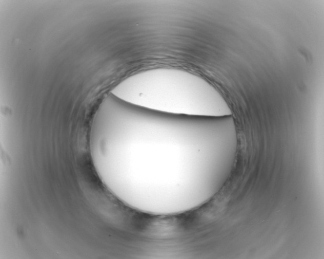 X0000091350606200708101038