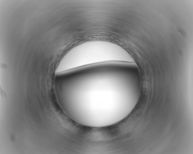 X0000091350608200708101038