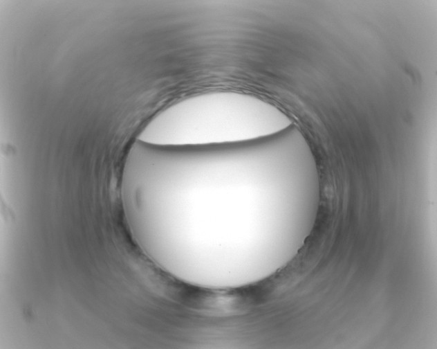 X0000091350610200708101038