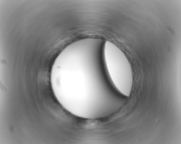 X0000091350612200708101038