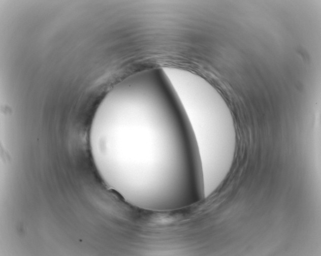X0000091350613200708101038