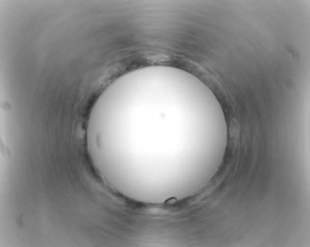 X0000091350614200708101038