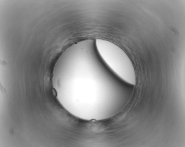 X0000091350615200708101038