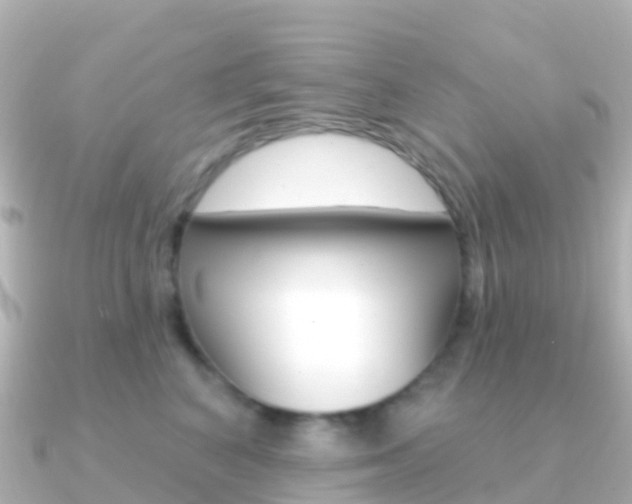 X0000091350616200708101038