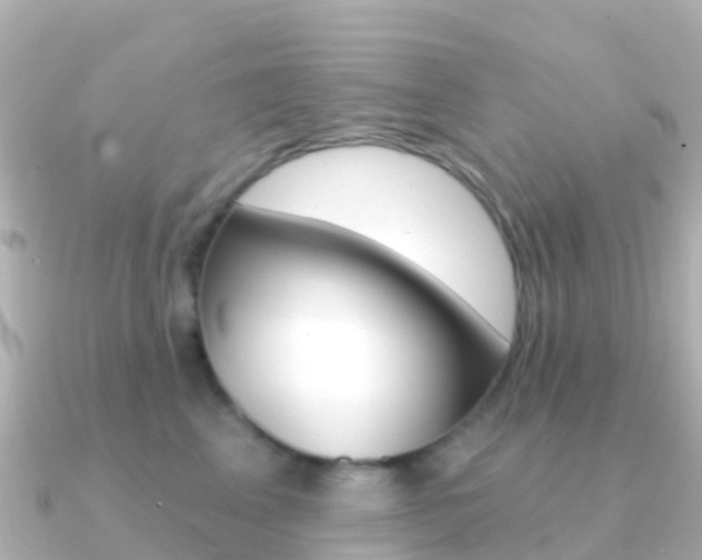 X0000091350617200708101038