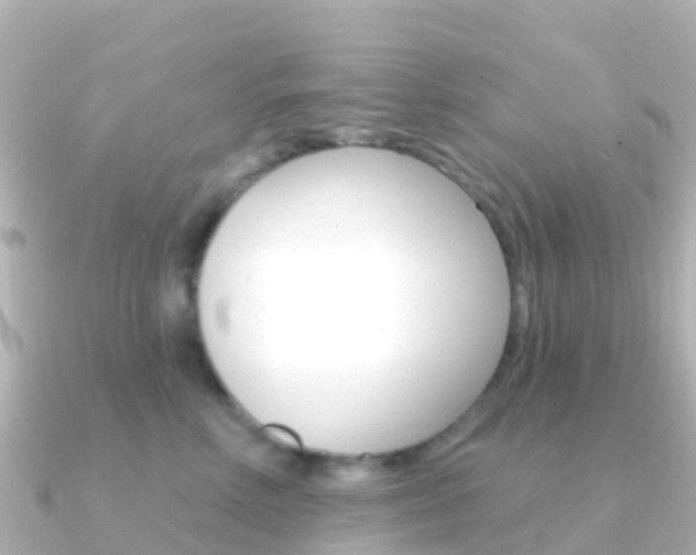 X0000091350618200708101038
