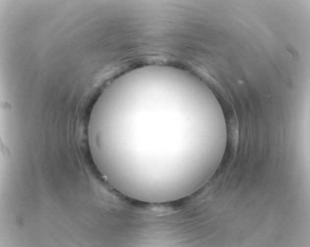 X0000091350619200708101038