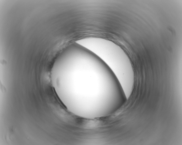 X0000091350621200708101038