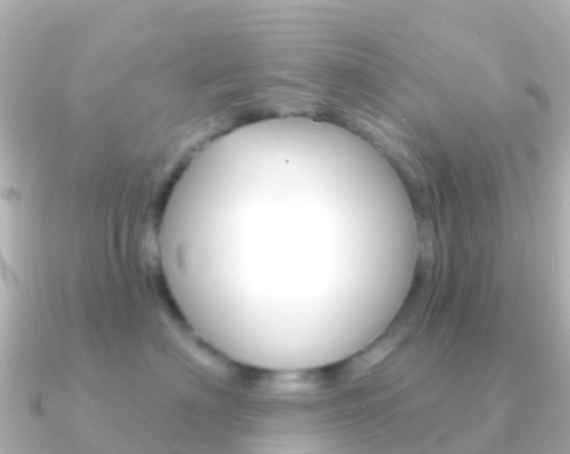 X0000091350622200708101038