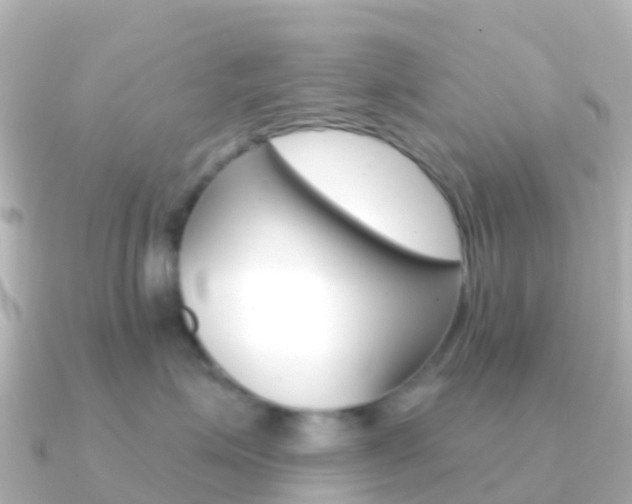 X0000091350623200708101038