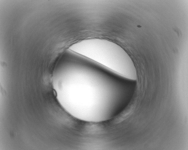 X0000091350624200708101038