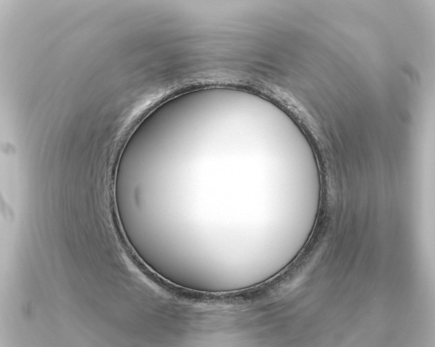 X0000091350625200708101037