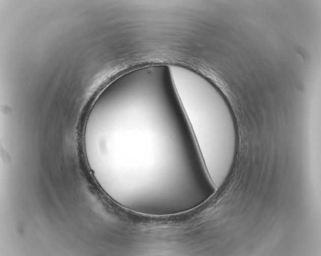 X0000091350626200708101037