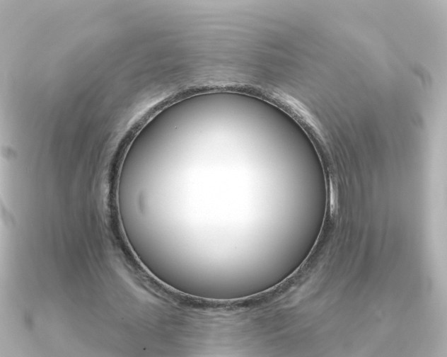 X0000091350627200708101037