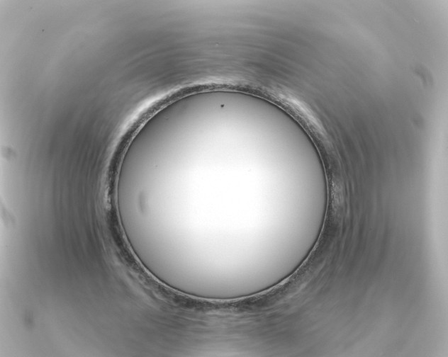 X0000091350628200708101037