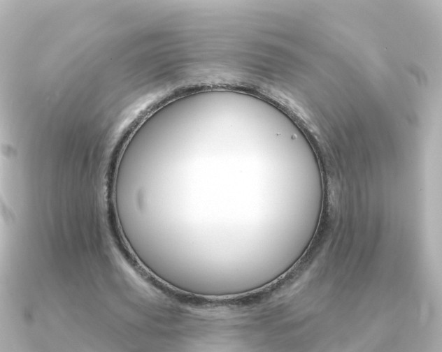 X0000091350629200708101037