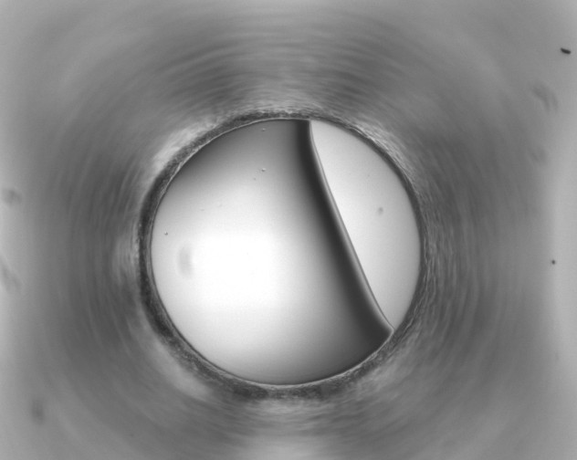 X0000091350630200708101037