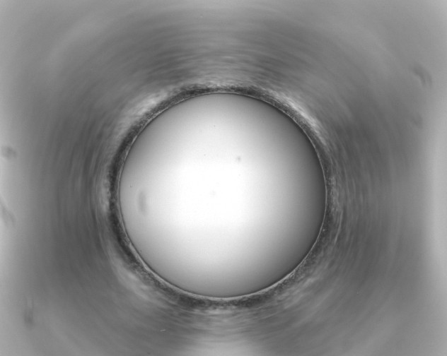 X0000091350631200708101037